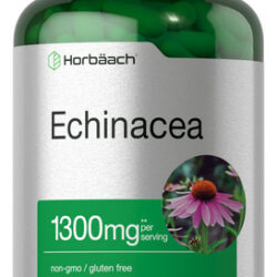 Suplemento: Cápsulas De Extrato De Equinácea Horbäach 1300mg