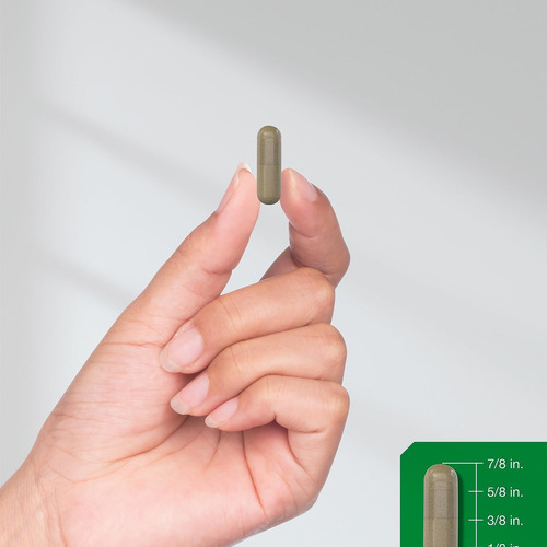 Cápsulas Horbäach Dong Quai 1000mg | 150 Porções - Imagem 5