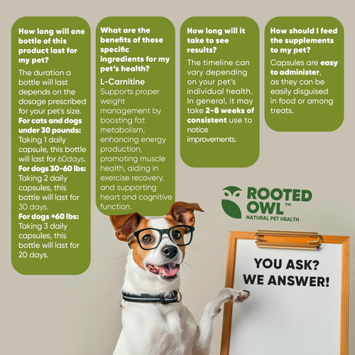 Suplemento De L-carnitina Rooted Owl Para Animais De Estimaç - Imagem 4