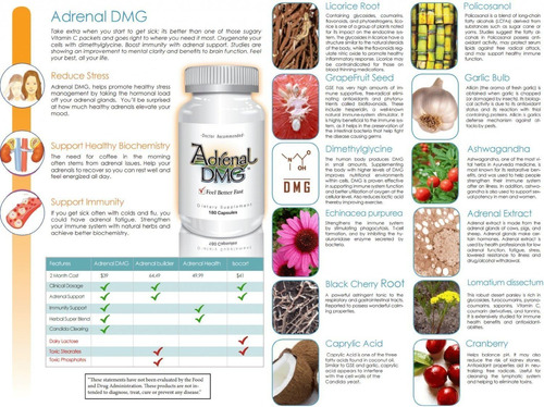 Adrenal Dmg - 180 Cápsulas - Apoia Energia Diurna, Melhora O - Imagem 10