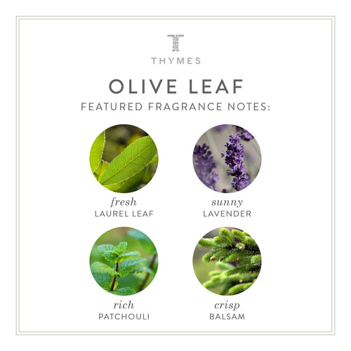 Loção Corporal Thymes Olive Leaf Shea Butter Com Vitamina E - Imagem 4