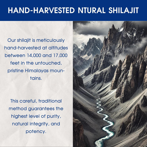 Duoxionglashilajit Resina Shilajit Pura Do Tibete Pura Do Ti - Imagem 3