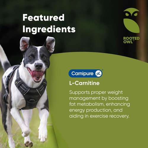 Suplemento De L-carnitina Rooted Owl Para Animais De Estimaç - Imagem 3