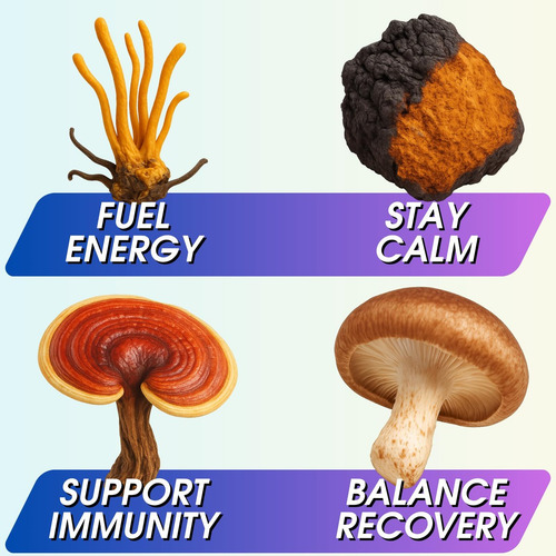 Wonder Family Instant Mushroom Power 10:1 - Suplemento - Imagem 5