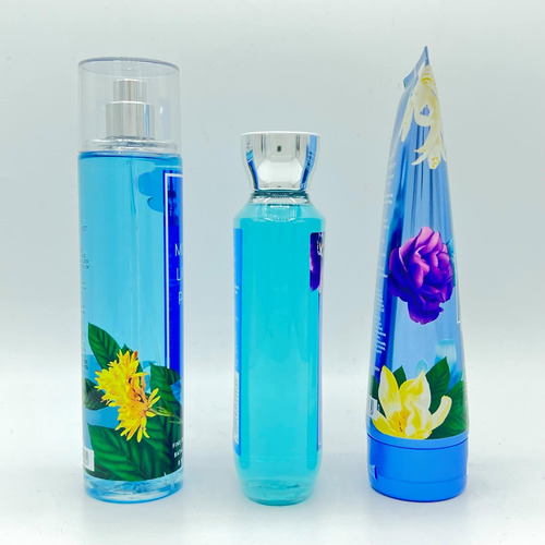 Conjunto Corporal Bath & Body Works Path Bath Gel De Ducha 1 - Imagem 8