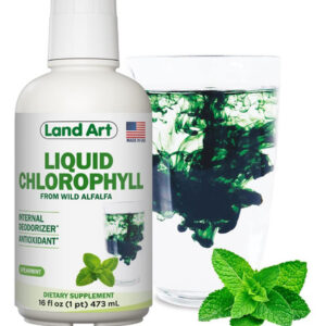 Clorofila Líquida Com Sabor Menta - Extraída A Frio De Alfaf