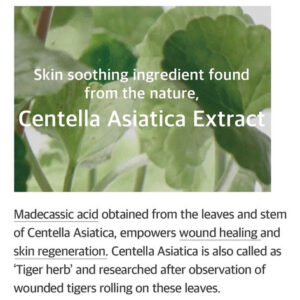 Mixsoon Centella Asiatica Essência Hidratante Para Pele