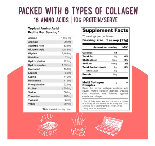 Proteína Multi -colágeno Powder Tipo 1, 2, 3, 4, 5, 10 Sem E - Imagem 5