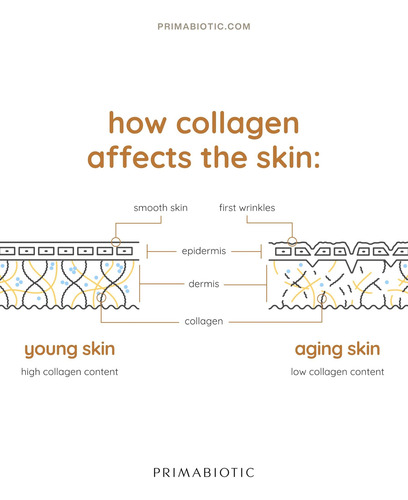 Primabiotic Liquid Collagen Sport - Alto Teor De Colágeno [1 - Imagem 7