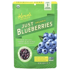 Karens Naturals Just Blueberries® Orgânicos 511 g (18 oz)