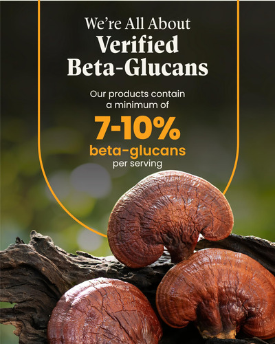 Suplemento Herb Pharm Mushroom Wellness Everyday 10 90 Cápsu - Imagem 5