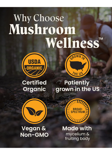 Suplemento Herb Pharm Mushroom Wellness Everyday 10 90 Cápsu - Imagem 4
