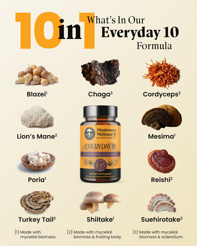 Suplemento Herb Pharm Mushroom Wellness Everyday 10 90 Cápsu - Imagem 7