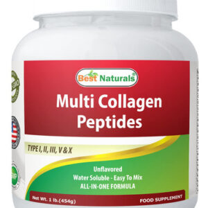 Colágeno Em Pó Best Naturals Multiple Tipo I Ii Iii V E