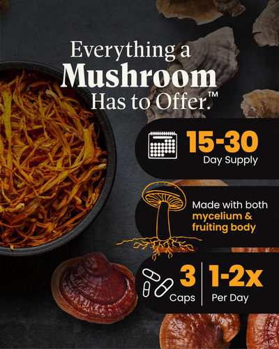 Suplemento Herb Pharm Mushroom Wellness Everyday 10 90 Cápsu - Imagem 3