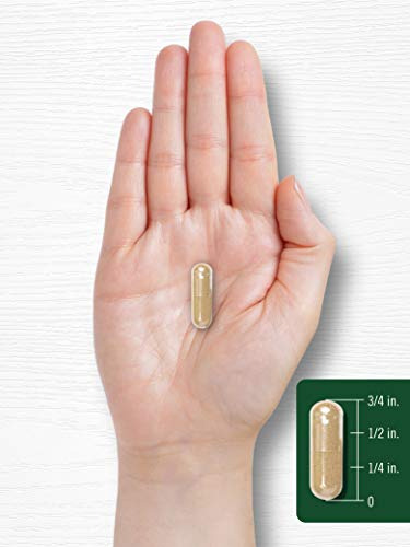 Suplemento Carlyle Holy Basil 1600mg 200 Cápsulas - Imagem 7