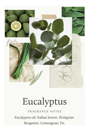 Limpador Corporal Thymes Nourishing Eucalyptus 473ml Com Bom - Imagem 3