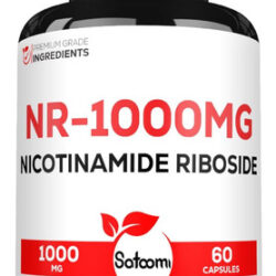 Suplemento Nad De 1000mg Com Nicotinamida Ribosídeo Nr - Sup