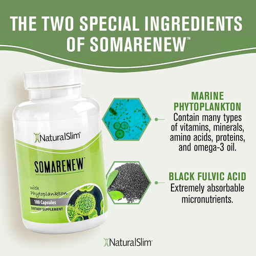 Naturalslim Somarenew Booster Do Metabolismo Suplementos En - Imagem 4