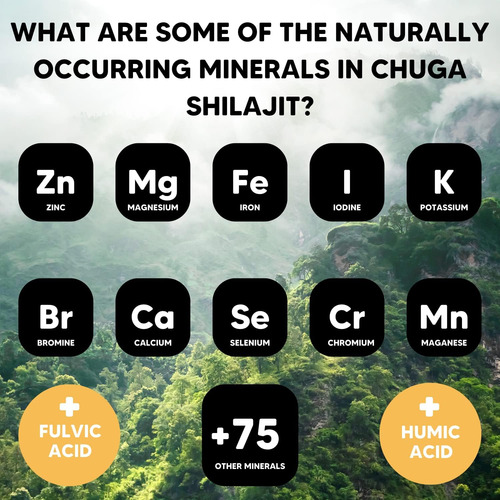 Chuga Pure Himalayan Shilajit Para Homens E Mulheres Shila - Imagem 6