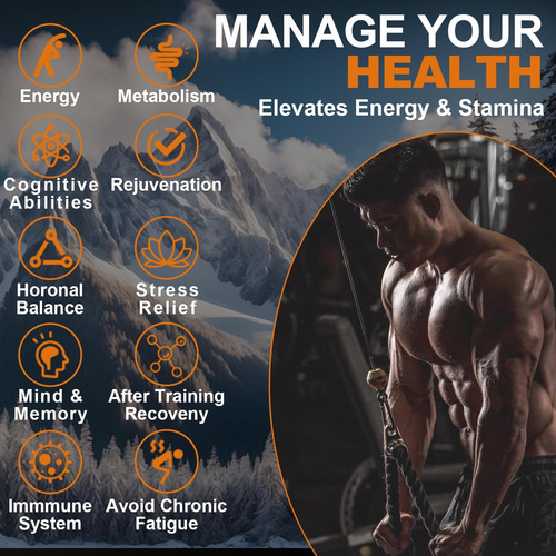 Praavee Shilajit Resina Original Para Homens Booster De E - Imagem 4