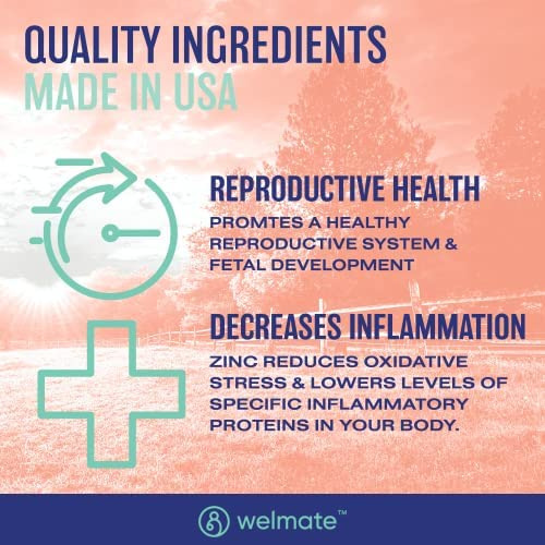 Sulfato De Zinco Welmate 220 Mg Suplemento Dietário Diário - Imagem 4
