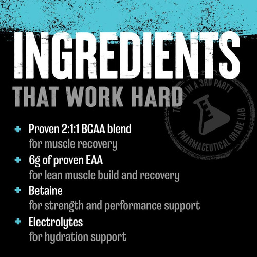 Aminoácidos Com Suco De Animais - Matriz Eaa Bcaa Power Plus - Imagem 4