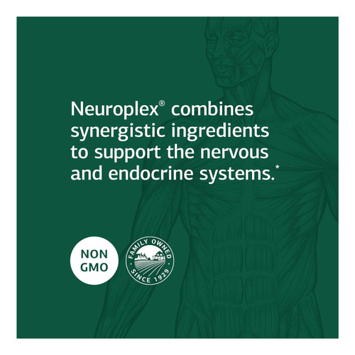 Neuroplex De Processo Padrão - Suplementos Alimentares Integ - Imagem 9