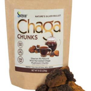 Pedaços De Cogumelo Chaga Puro Puro Da Sibéria Sayan Com Cro