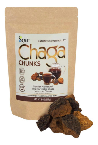 Pedaços De Cogumelo Chaga Puro Puro Da Sibéria Sayan Com Cro