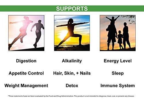 Daily Green Boost 8 Onças Organic Raw Vegan Gf Brasil - Imagem 16