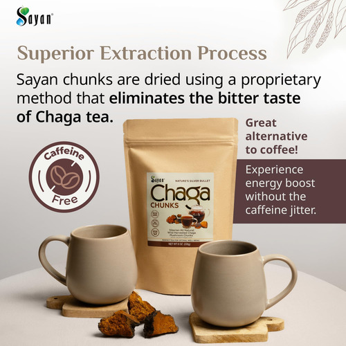 Pedaços De Cogumelo Chaga Puro Puro Da Sibéria Sayan Com Cro - Imagem 9