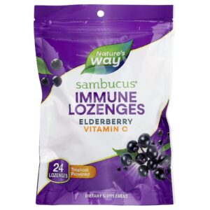 Natures Way Pastilhas Sambucus® para a Imunidade Frutas Tropicais 24 Pastilhas