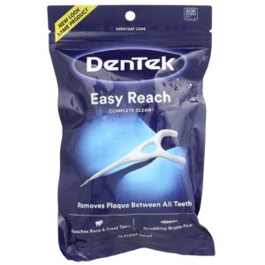 DenTek Escolhas Completas de Fio-dental Limpo e Fácil de Alcançar Explosão de Enxaguatório Bucal 75 Escolhas de Fio dental