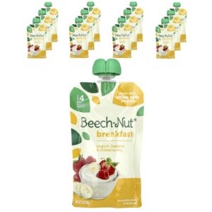 Beech-Nut Café da Manhã Mais de 12 Meses Iogurte Banana e Frutos Silvestres 12 Sacos 99 g (35 oz) Cada