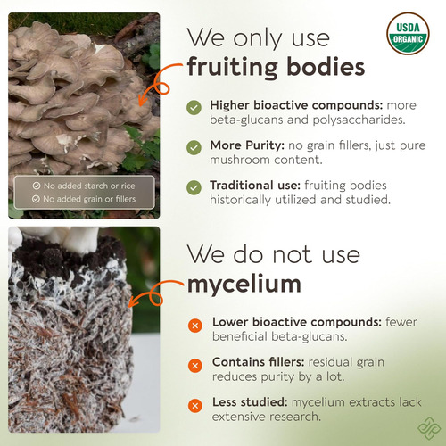 Longevity Botanicals Cápsulas De Cogumelo Maitake Orgânico - - Imagem 13