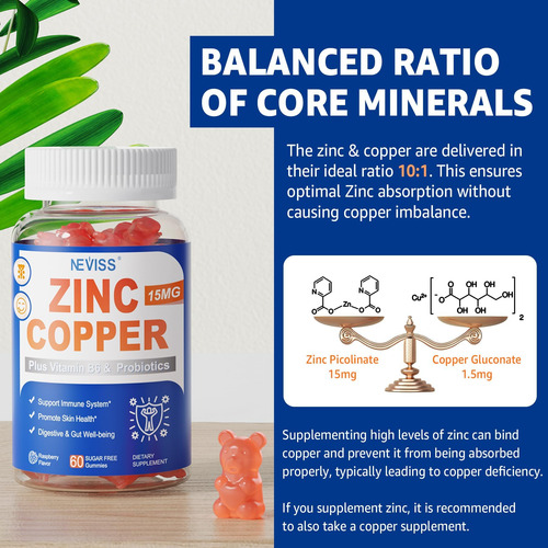 Suplemento De Zinco Com Cobre + Vitamina B6 Probióticos Um - Imagem 17