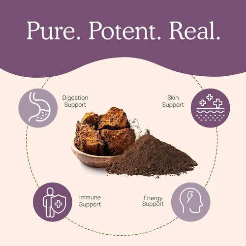 Suplemento De Cogumelos Reais: Chaga Em Pó (60 Porções) - Imagem 4