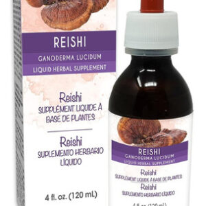 Naturalma Reishi (ganoderma Lucidum) Fungo Ou Cogumelo Tintu