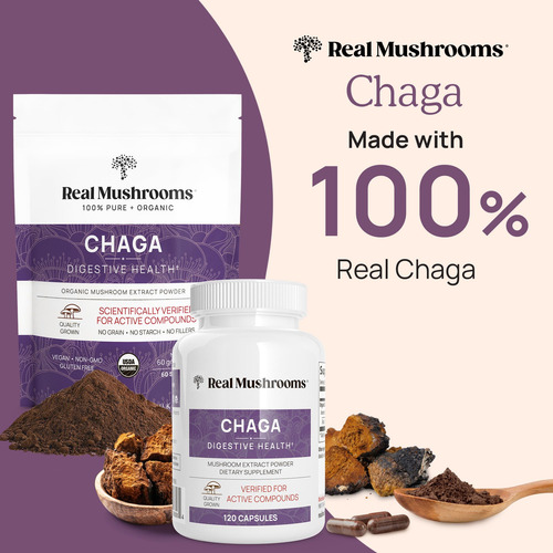 Suplemento De Cogumelos Reais: Chaga Em Pó (60 Porções) - Imagem 2