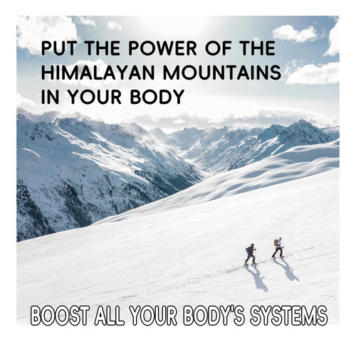 Pure Himalaia Shilajit Gummies Ishwagnadha Óleo De Semente - Imagem 11
