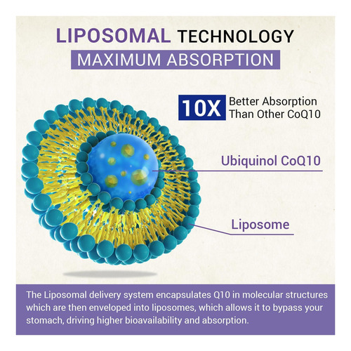 Cápsula Gelatinosa Lipossomal Ubiquinol Coqmg Suplemento De - Imagem 11