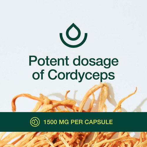 Cápsulas Orgânicas De Cordyceps (extrato De Cogumelo Cordyce - Imagem 13