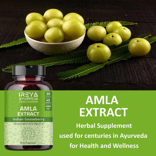Cápsulas De Extrato De Fruta Amla De Ireya Ayurveda (90 Cáps - Imagem 15