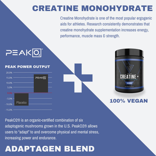 Suplemento Vedge Nutrition Creatine+ Vegan 30 Porções - Imagem 3