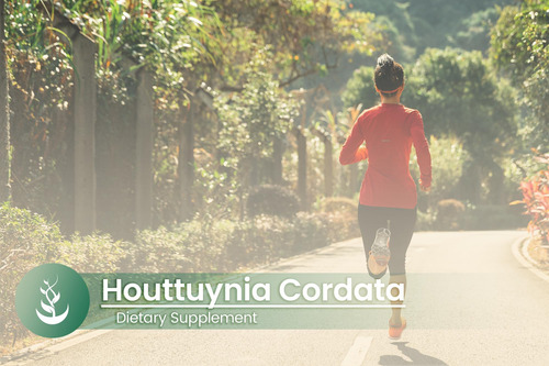 Ingredientes Originais Puros Houttuynia Cordata (100 Cápsul - Imagem 10