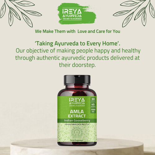 Cápsulas De Extrato De Fruta Amla De Ireya Ayurveda (90 Cáps - Imagem 14