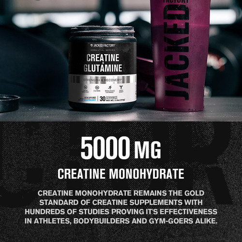 Suplemento Jacked Factory Creatine + Glutamina 30 Porções - Imagem 11