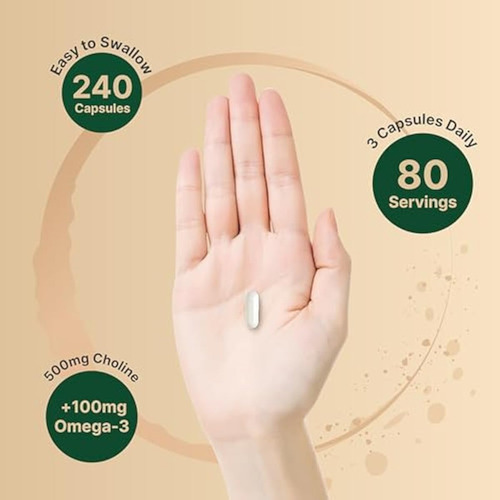 Suplementos De Colina 500 Mg Com Gordura Ômega-3 - Imagem 4