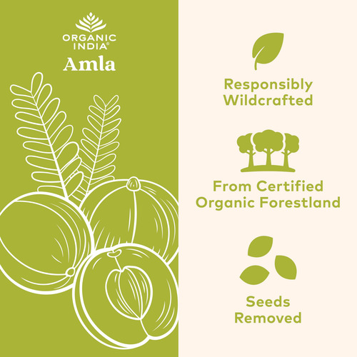 Suplemento Organic India Amla Capsules Organic 60 Cápsulas - Imagem 3